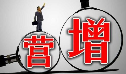 個人獨資企業(yè)核定征收在軟件開發(fā)行業(yè)的減稅優(yōu)勢與實施路徑