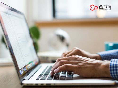 打破傳統(tǒng)，聚焦個體 從魚爪網(wǎng)看個人互聯(lián)網(wǎng)服務(wù)的品牌發(fā)展新路徑